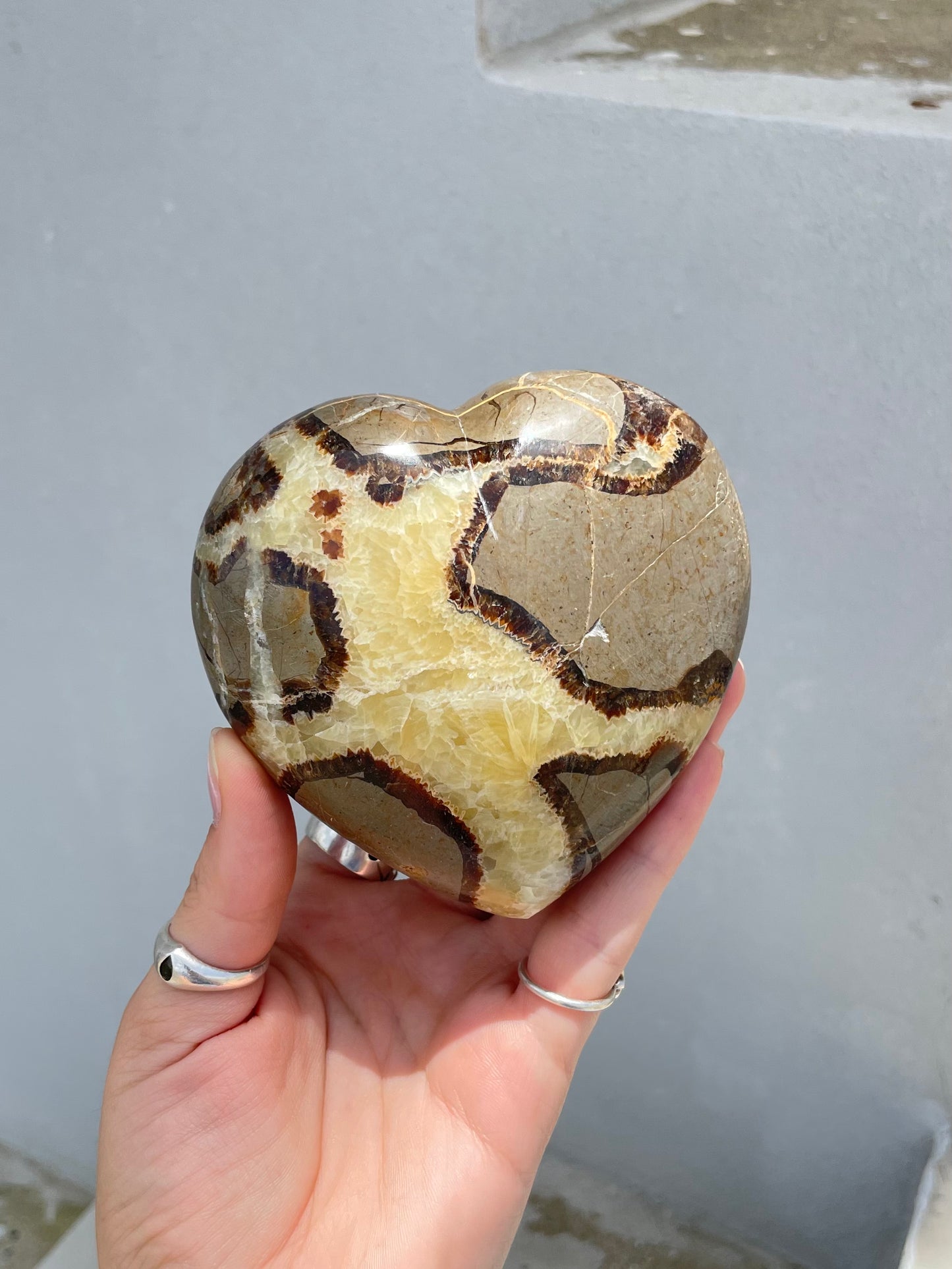 Septarian Heart