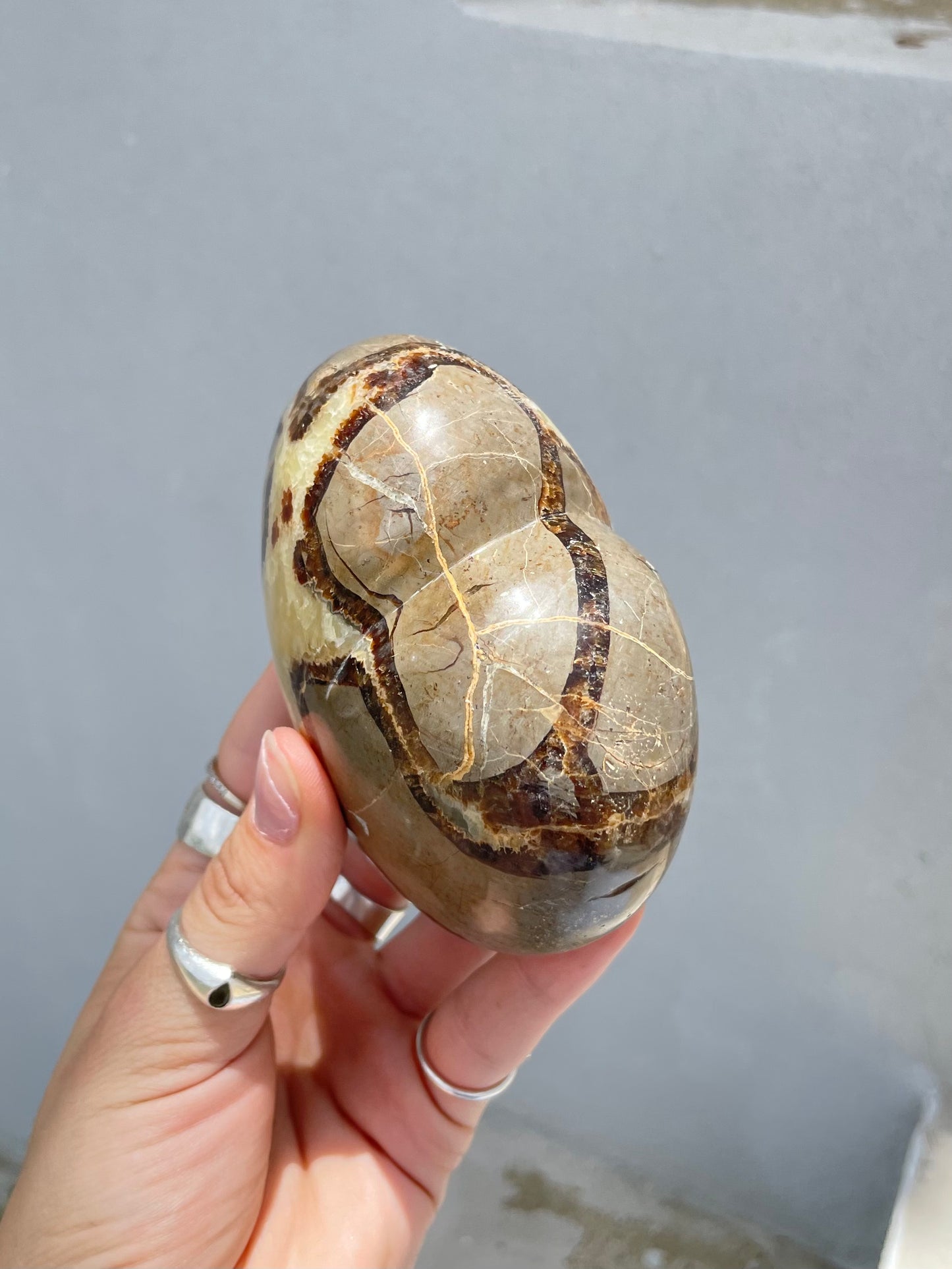 Septarian Heart