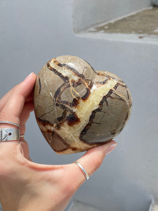 Septarian Heart