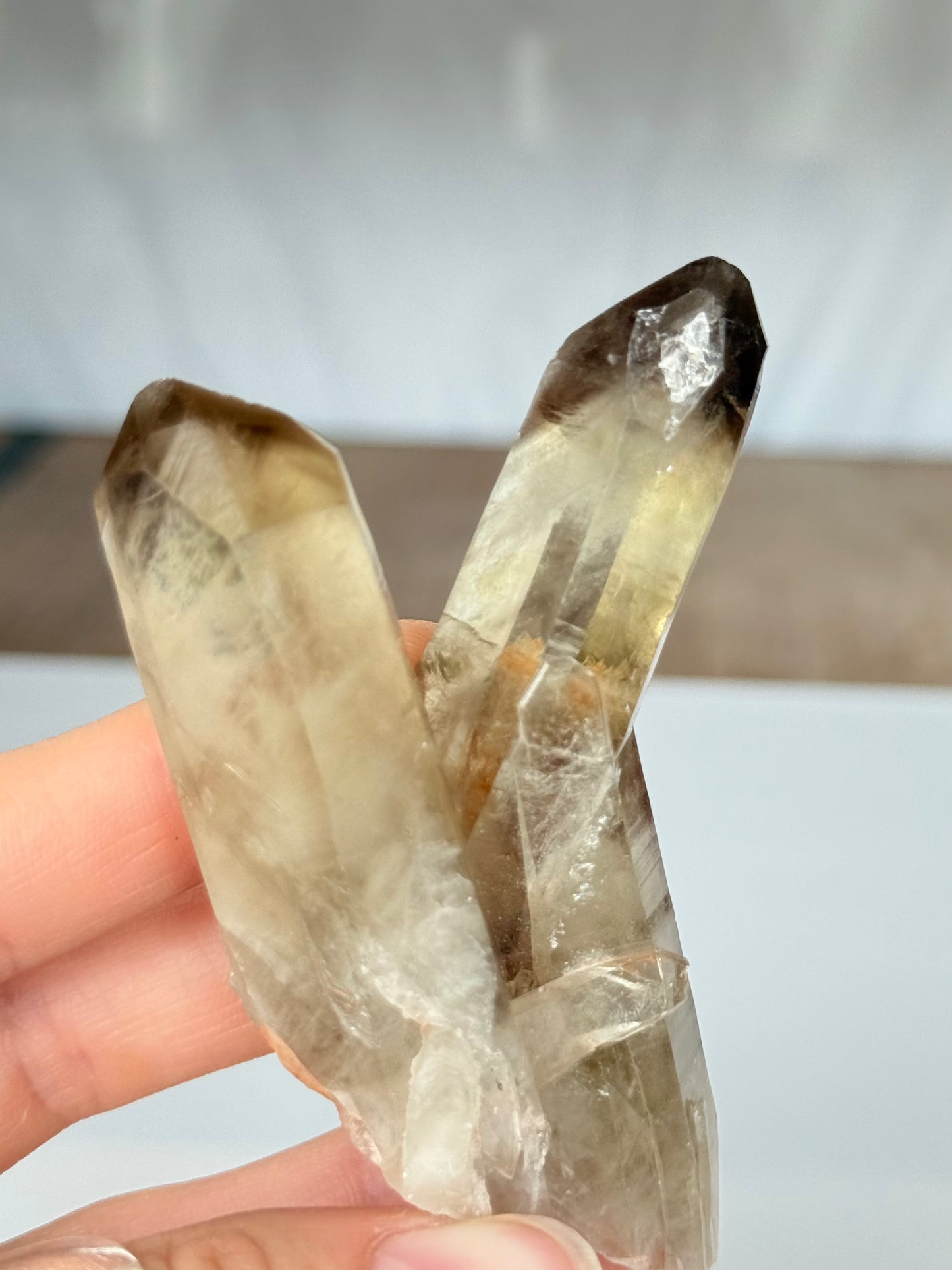 Natural Citrine Phantom Formation Double Point