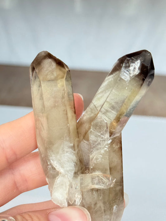 Natural Citrine Phantom Formation Double Point