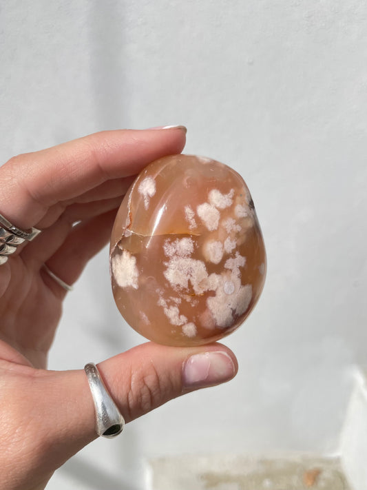 Flower Agate Palm Stone – Healing and Inner Growth