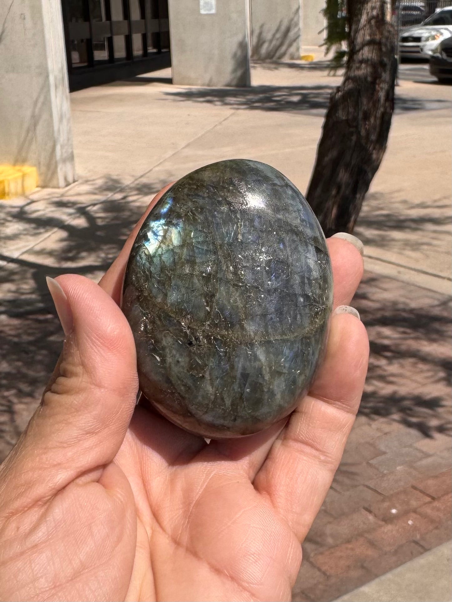 Palm Stone Labradorite