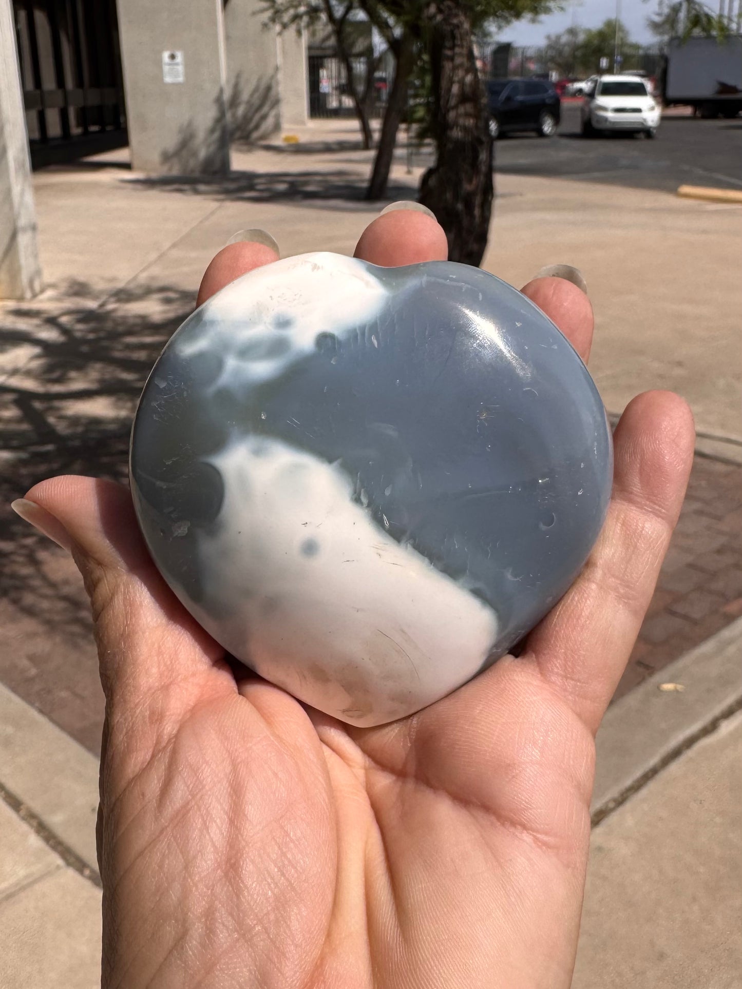 Corazon Orca Agate