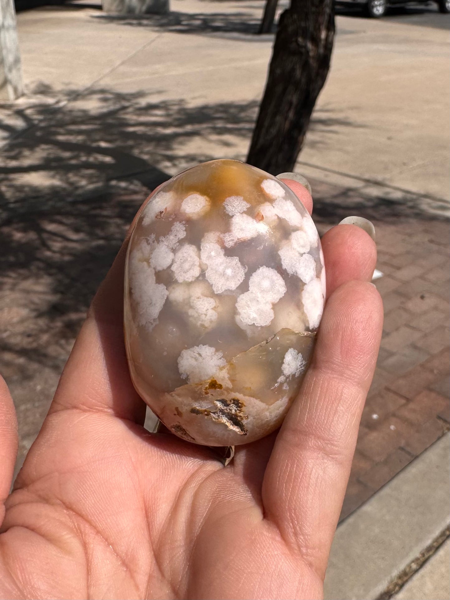 Palm Stone Flower Agate