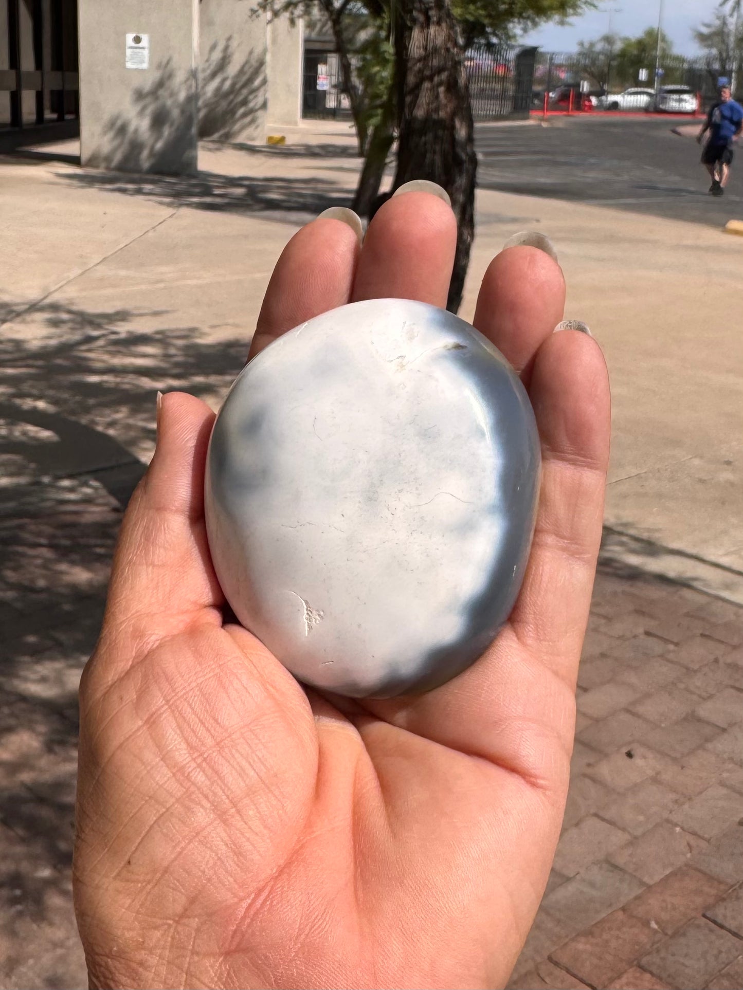 Palm Stone Orca Agate ( Med )