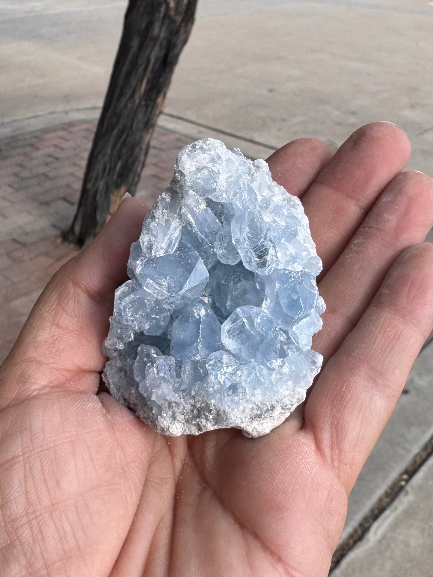 Celestite Cluster