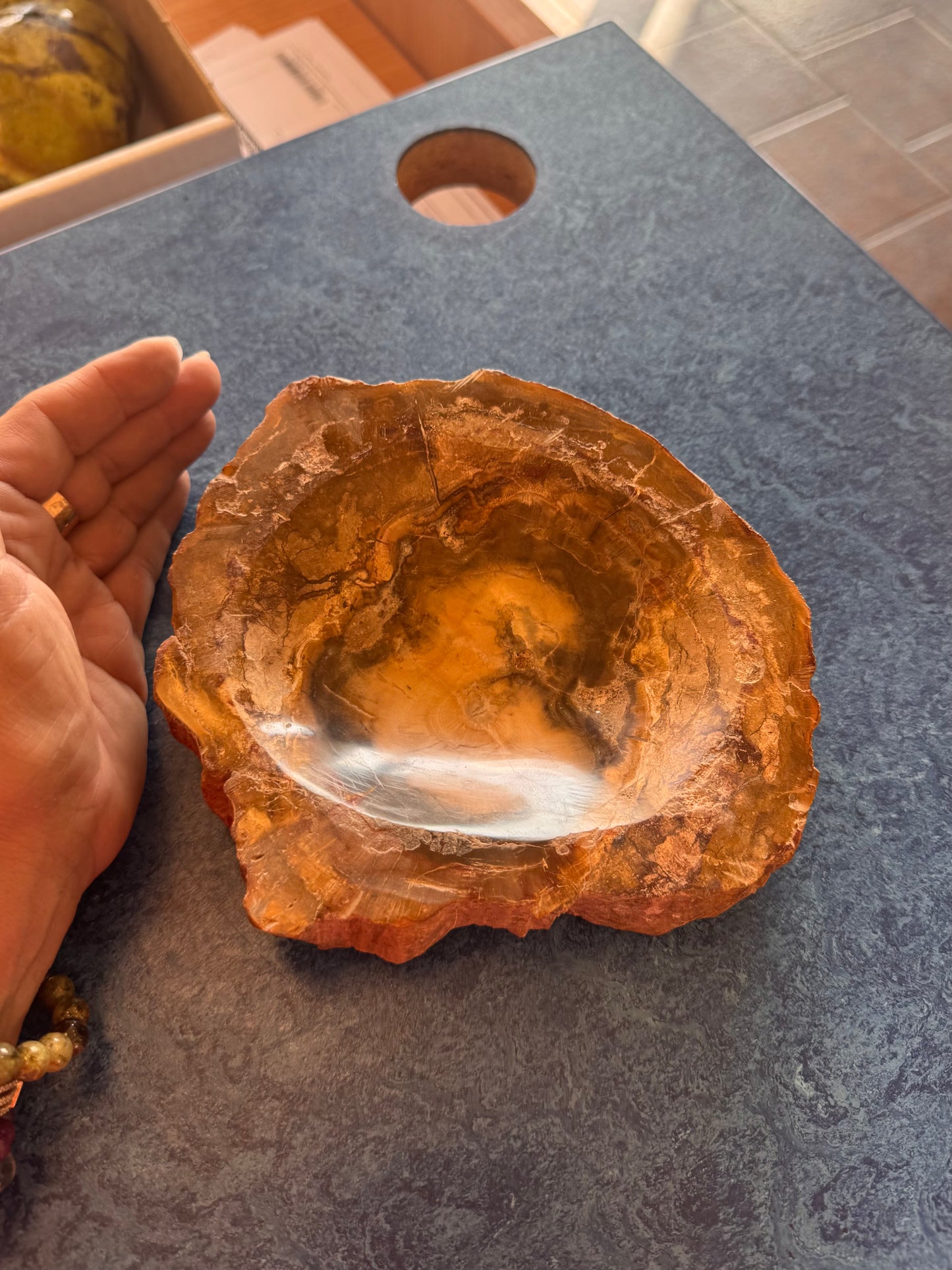 Bowl Madera Petrificada
