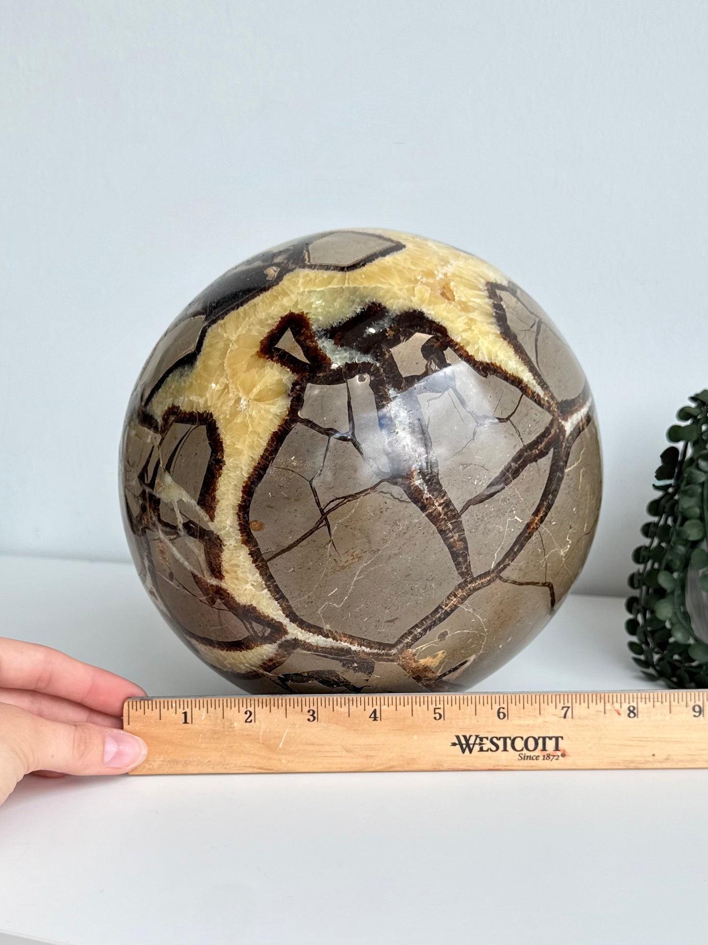 Septarian Sphere