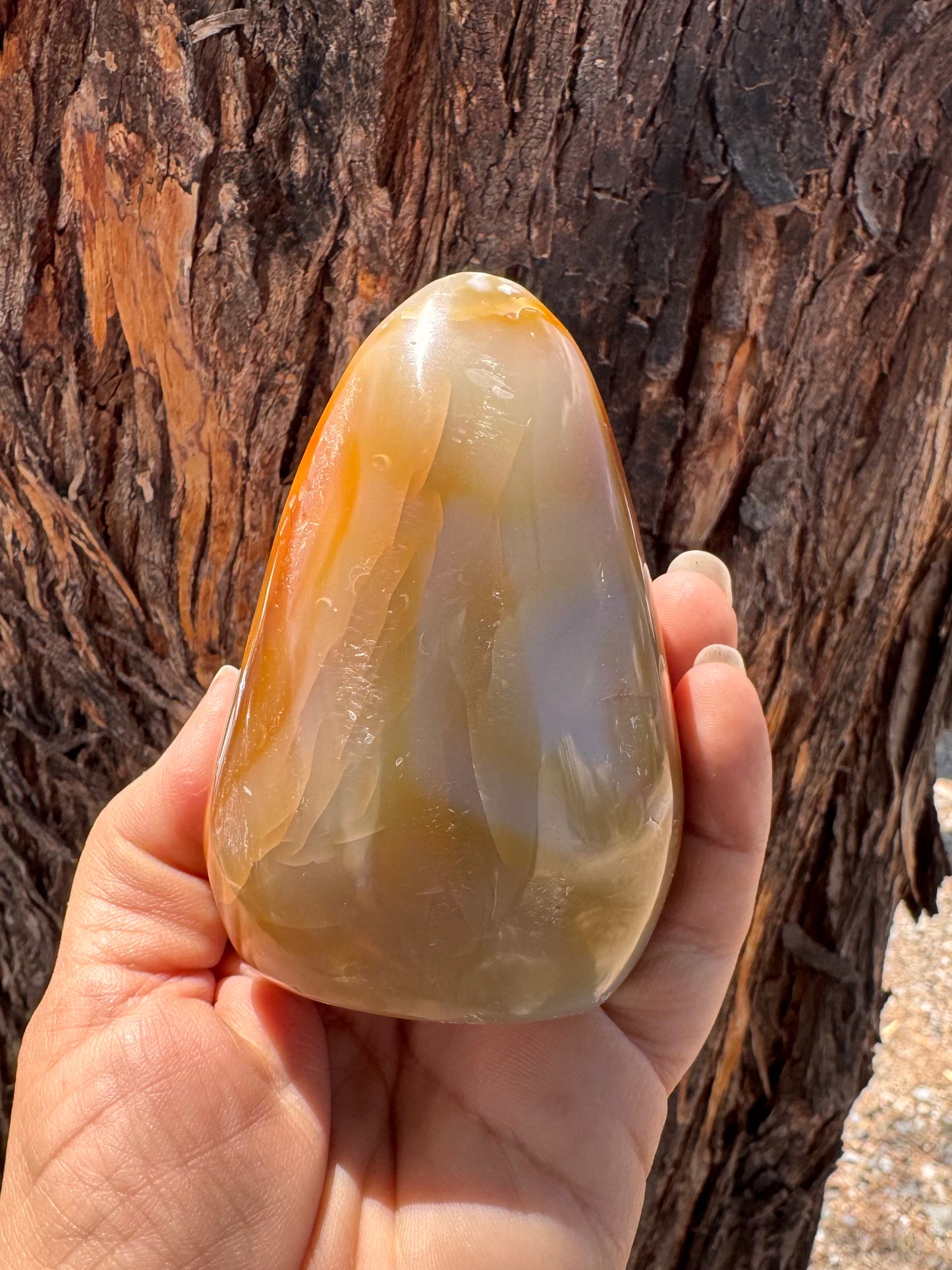 Freeform Cornalina
