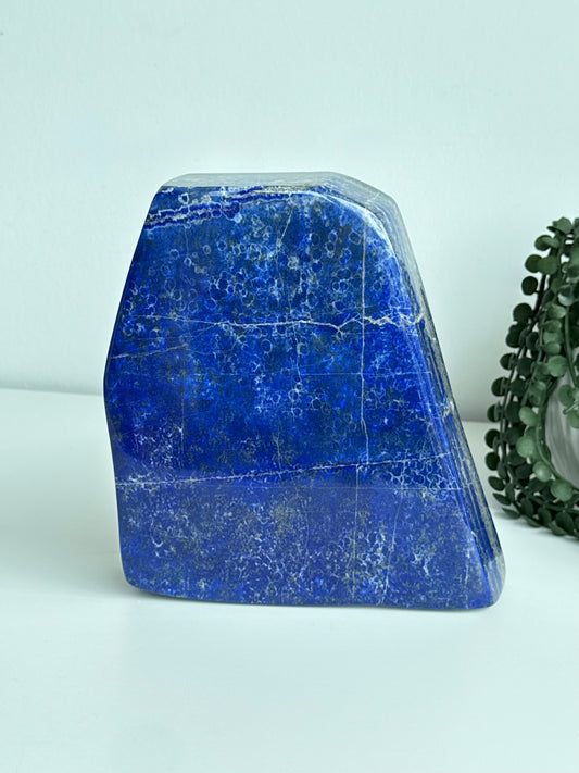 Lapis Lazuli Freeform