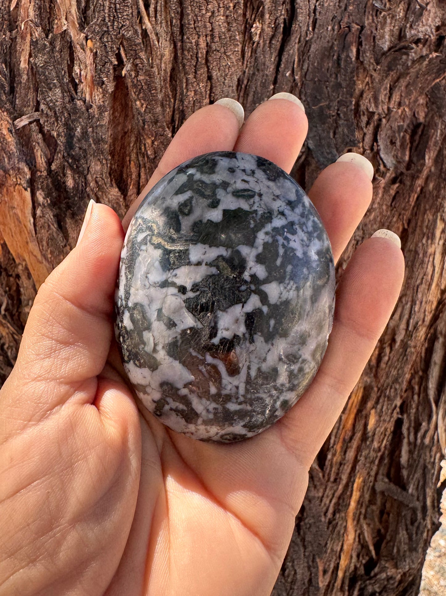 Palm Stone Indigo Gabro ( Large )