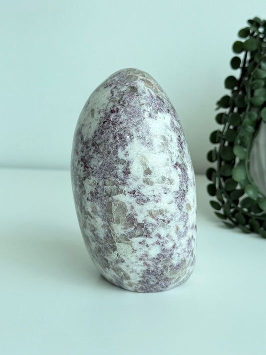 Lepidolite Freeform