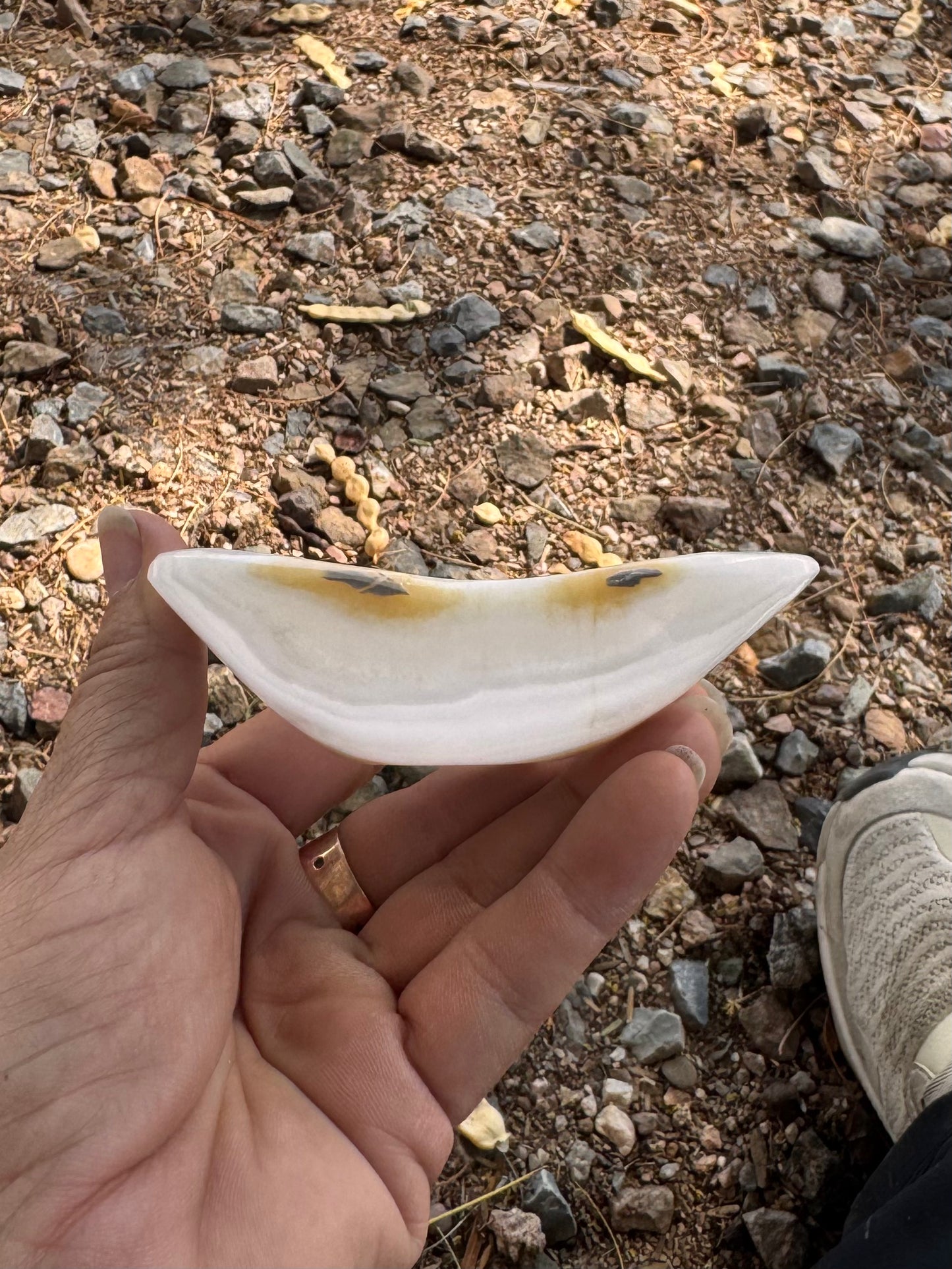Bowl Zebra Aragonite