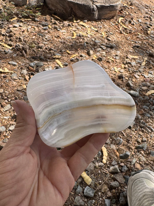 Bowl Zebra Aragonite