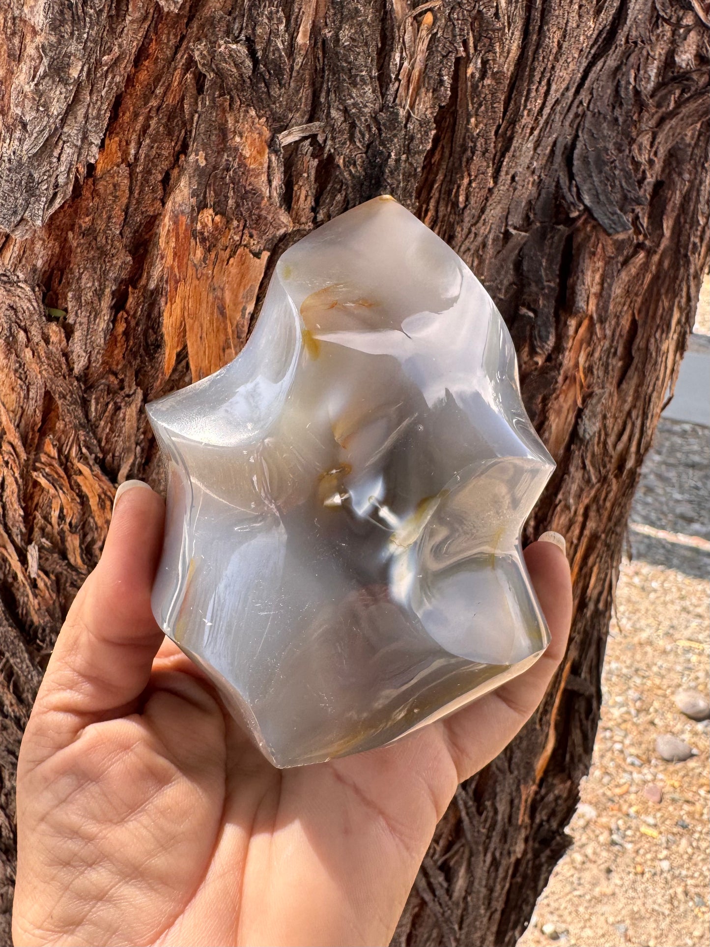 Flama Orca Agate