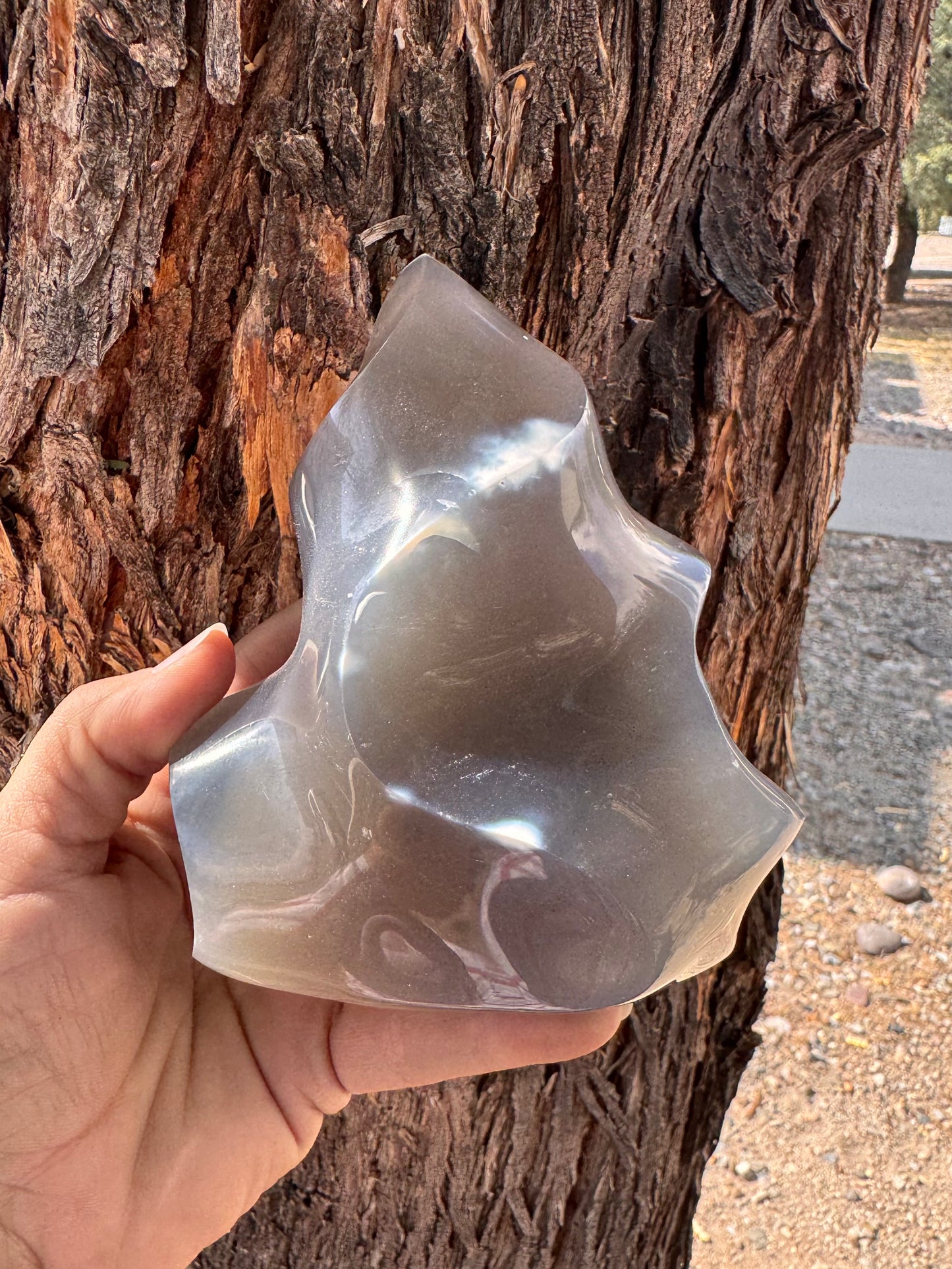Flama Orca Agate