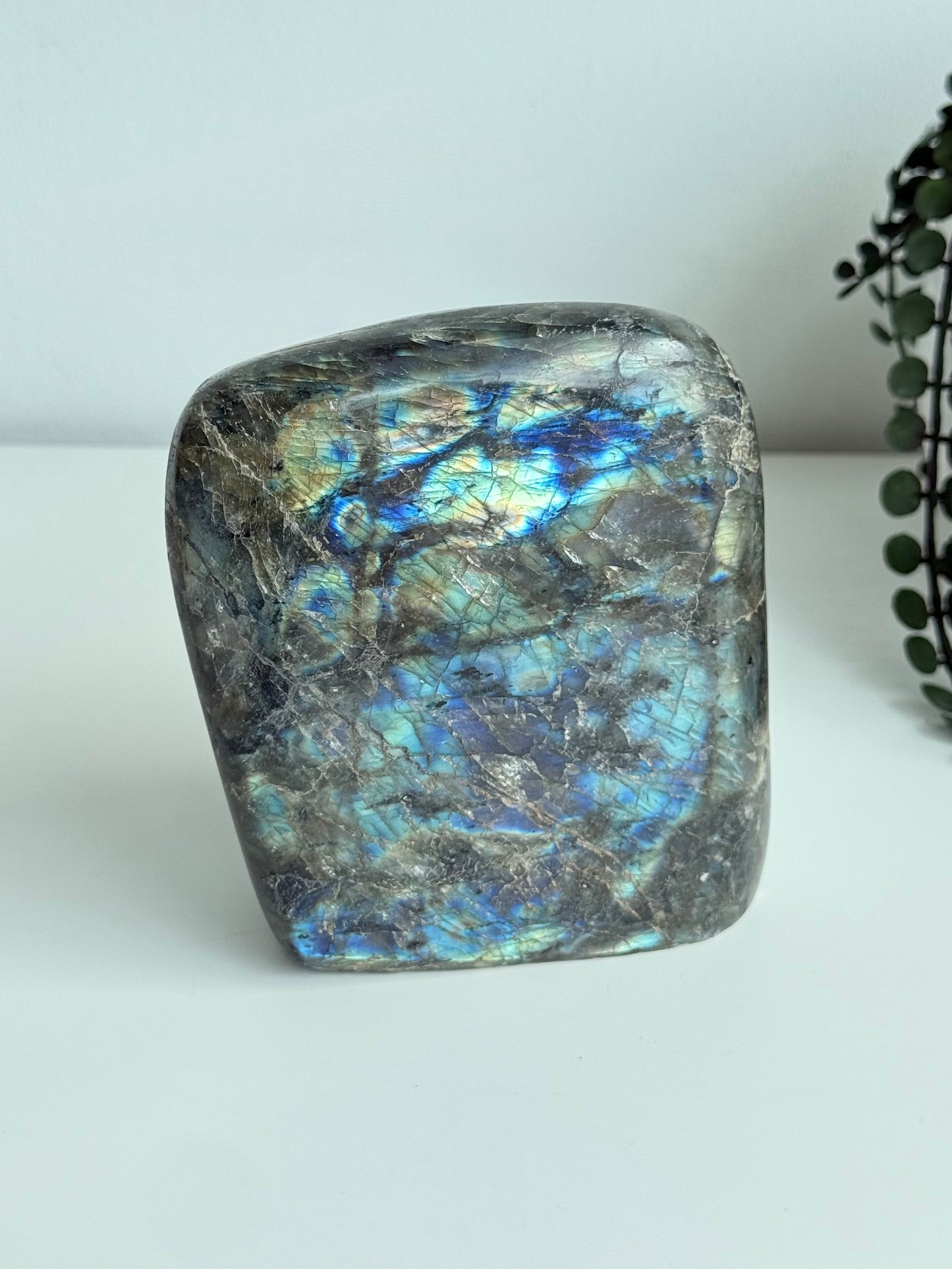 Labradorite - Madagascar