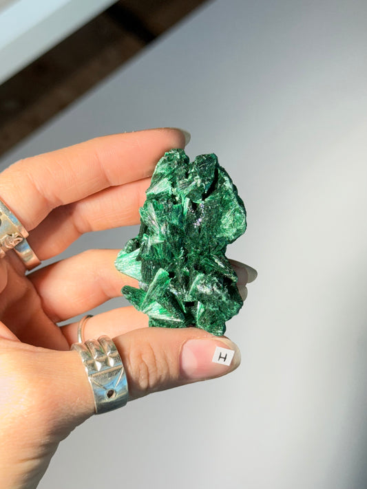 Raw Malachite ( H )