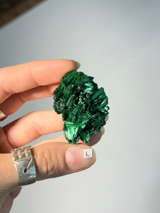 Raw Malachite ( L )