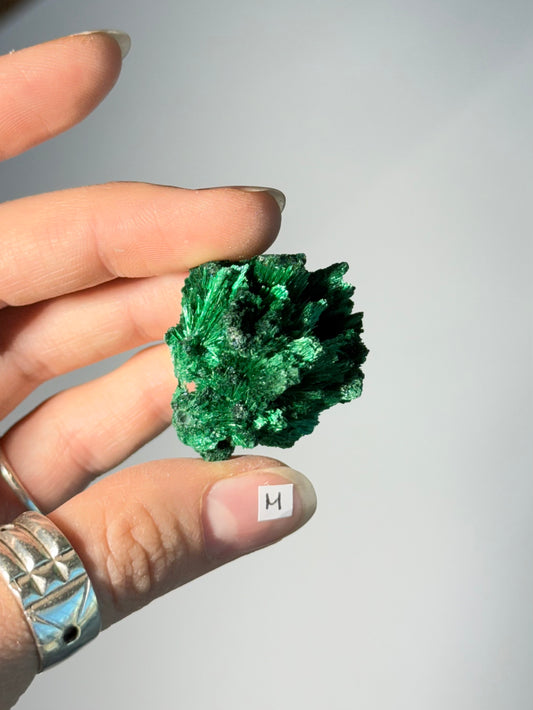 Raw Malachite ( M )