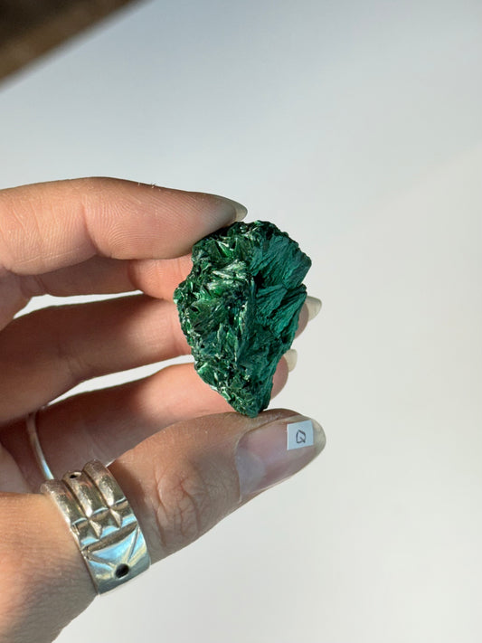 Raw Malachite ( Q )