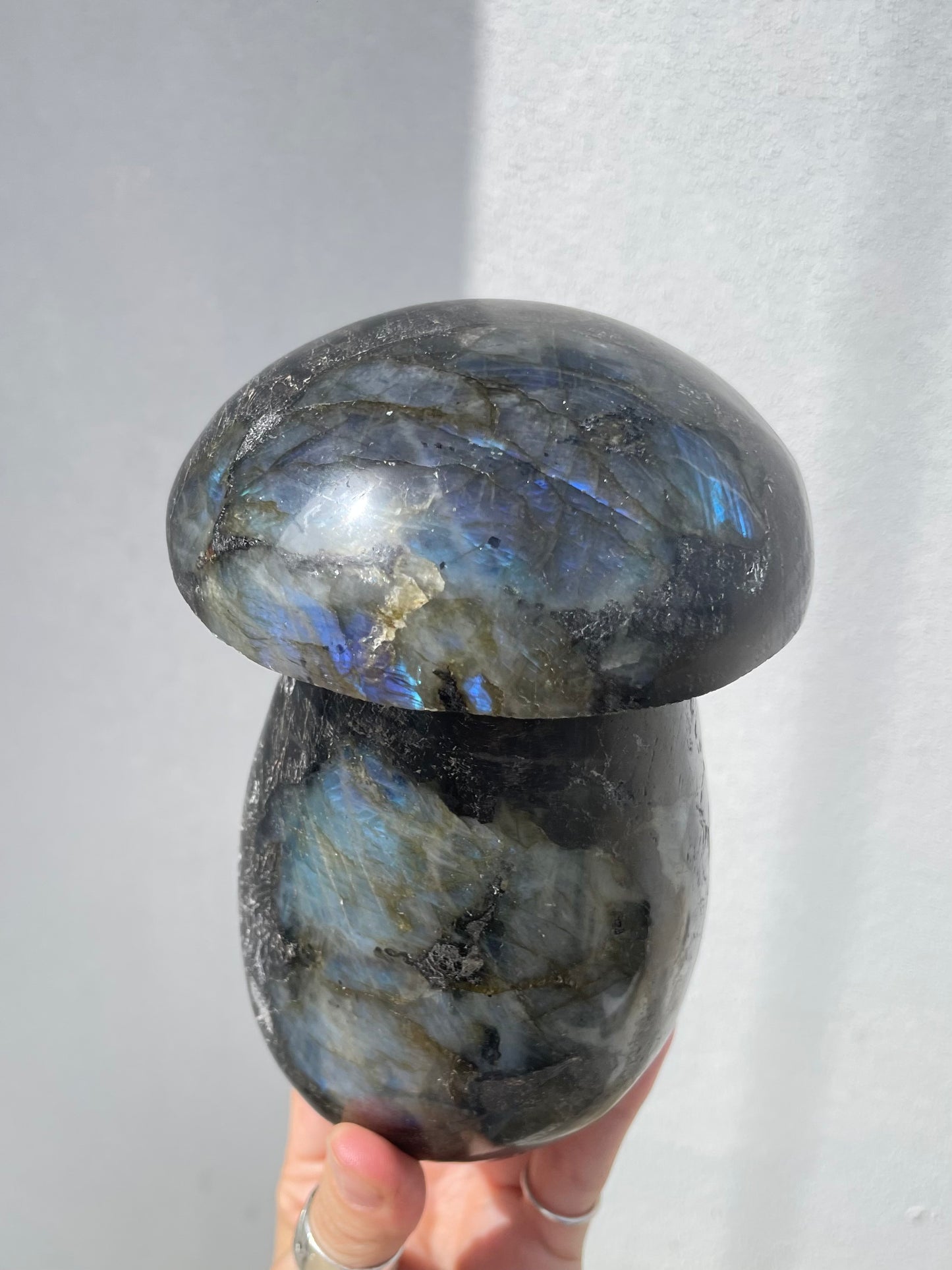 Labradorite Mushroom