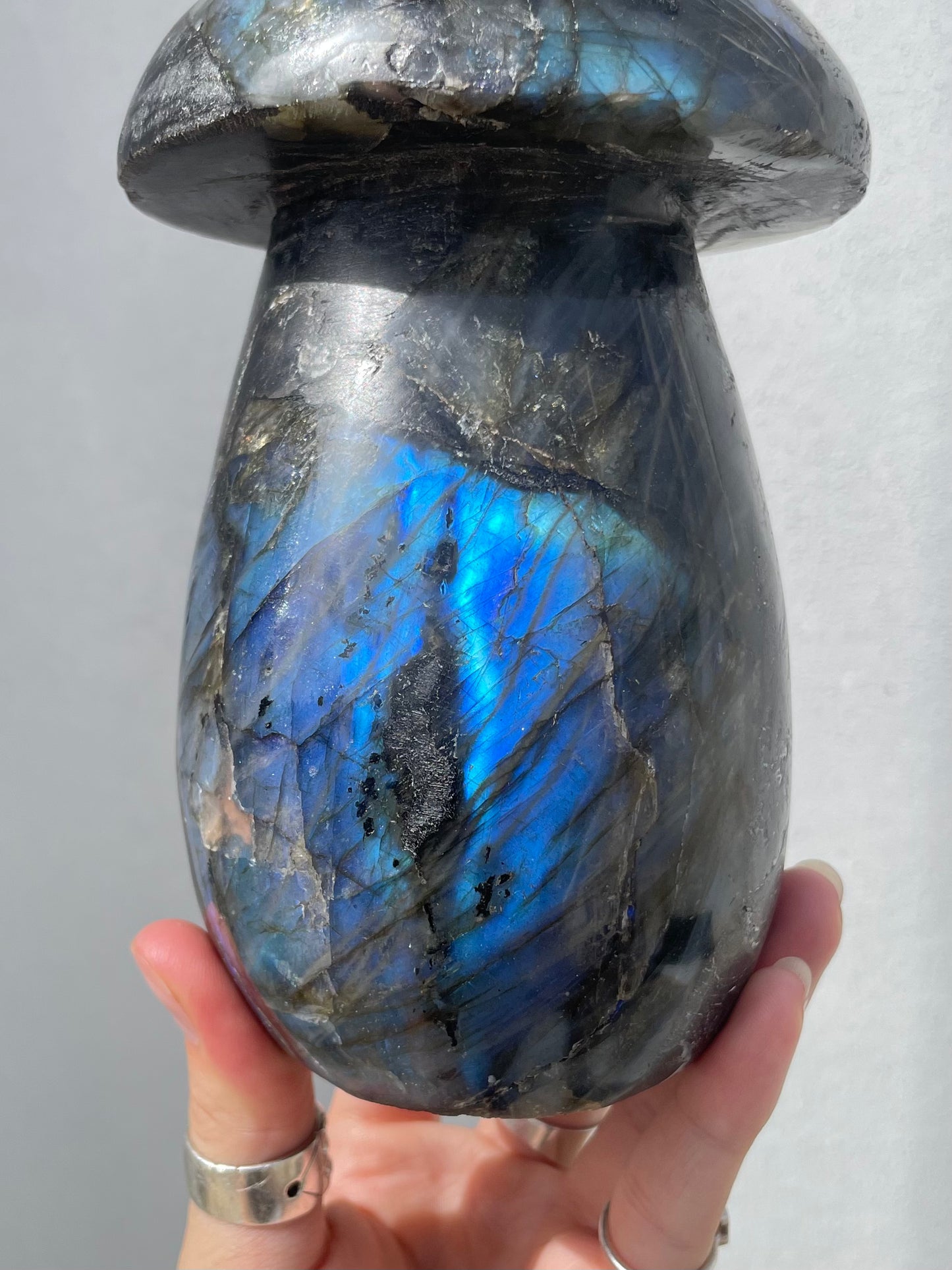 Labradorite Mushroom