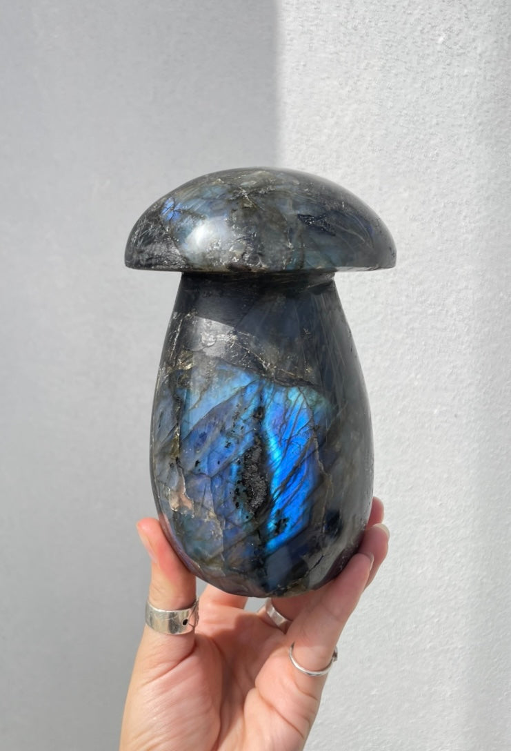 Labradorite Mushroom