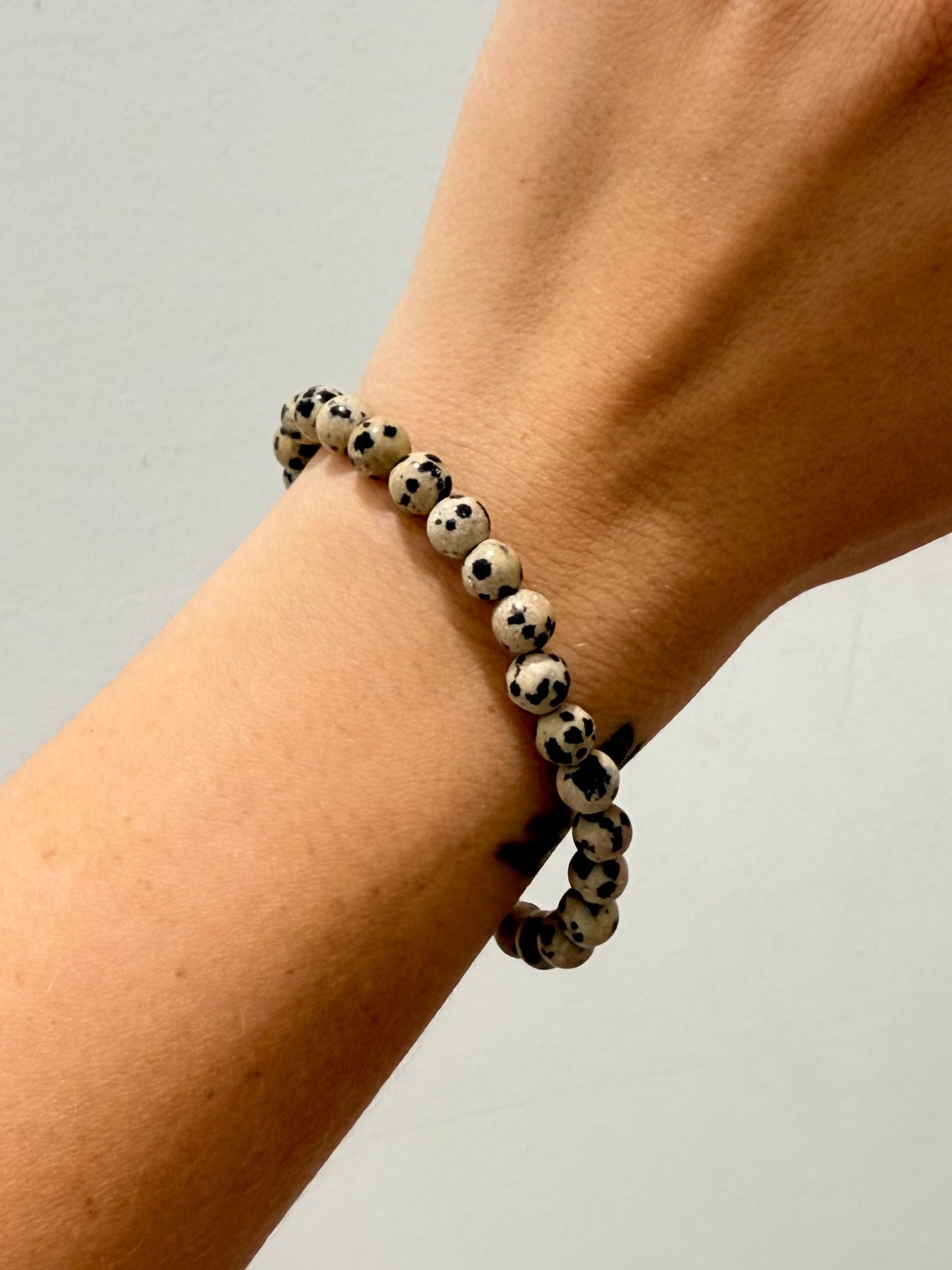 Dalmation Jasper 6mm Bracelet