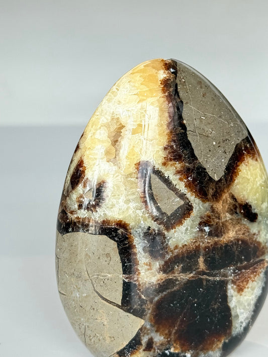 Septarian