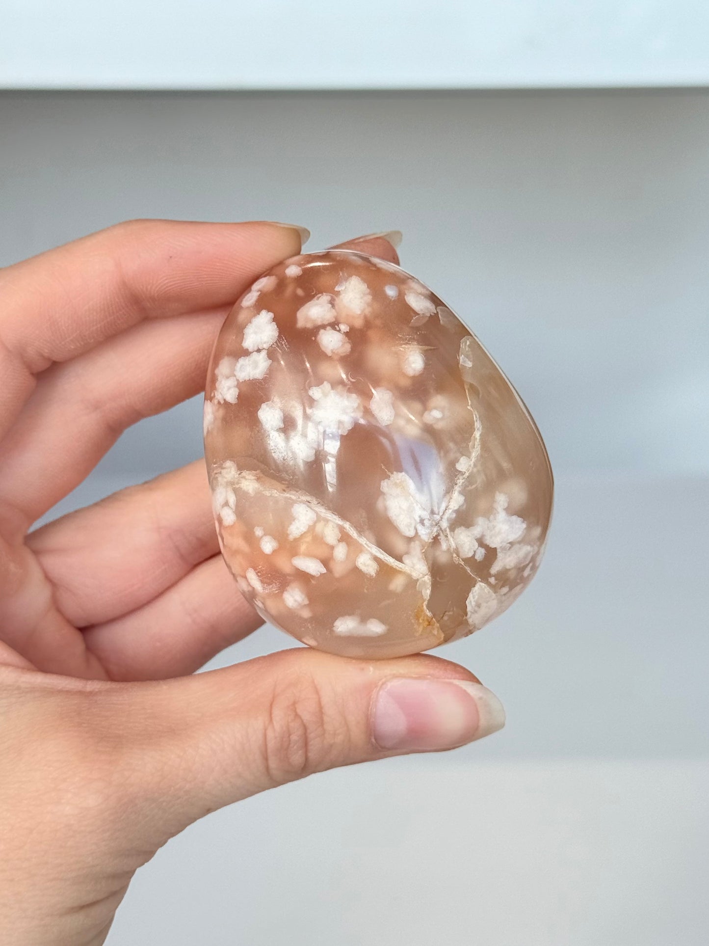 Flower Agate Palm Stone