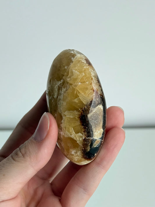 Septarian Palm Stone