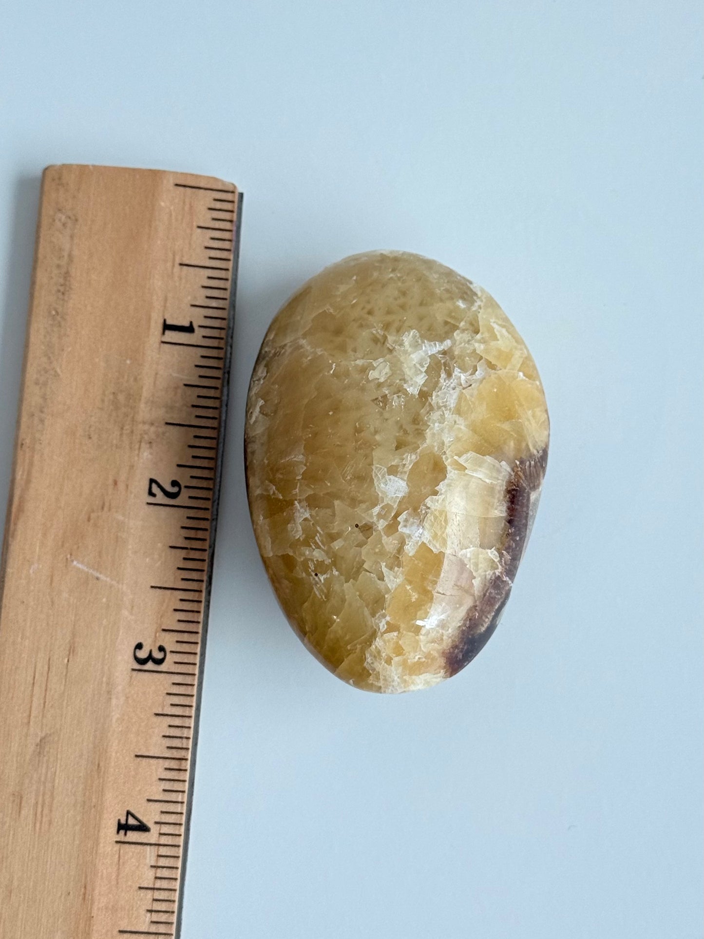 Septarian Palm Stone