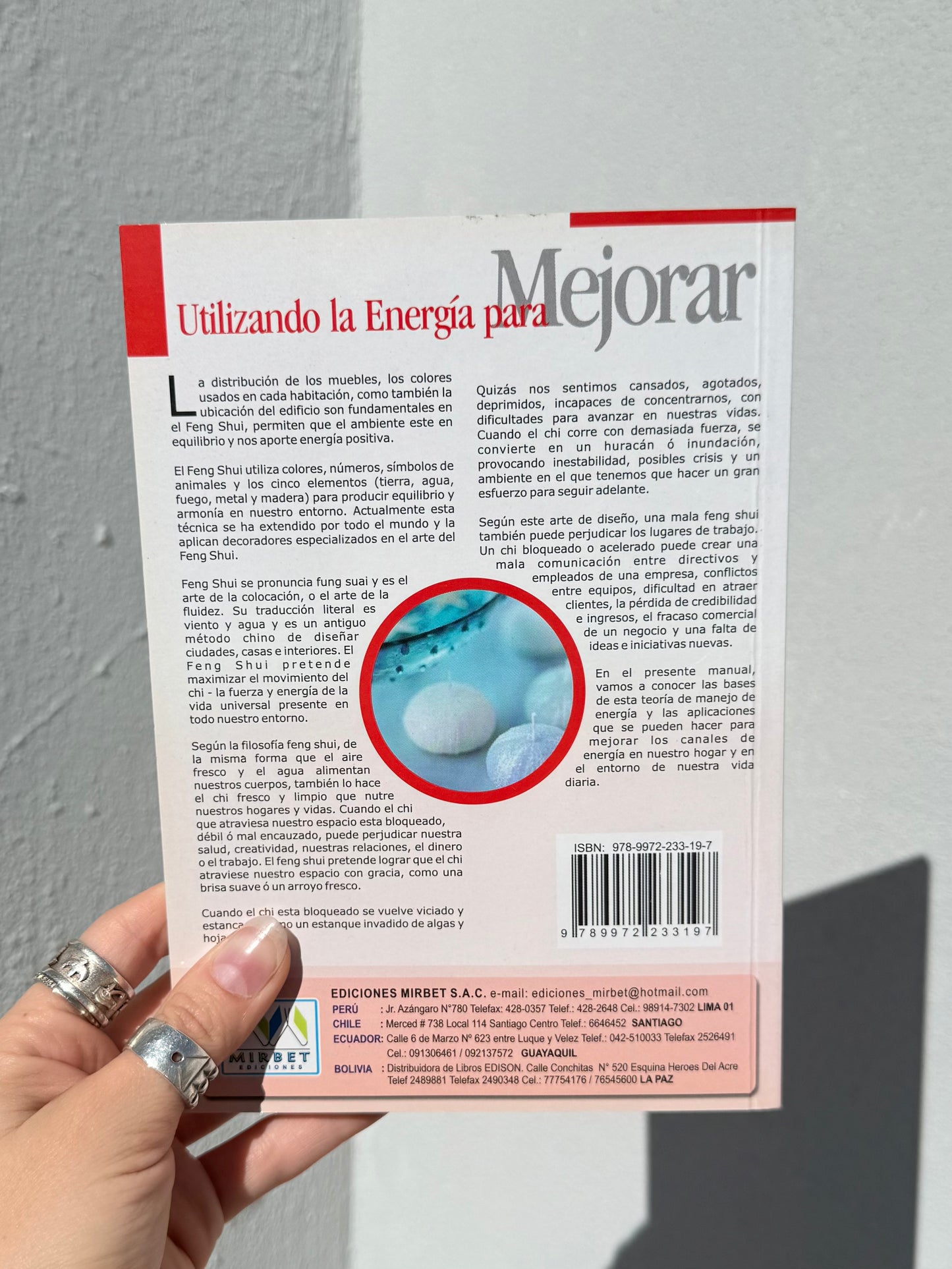 Feng Shui Conceptos y Aplicaciones ( Mirbet Ediciones )