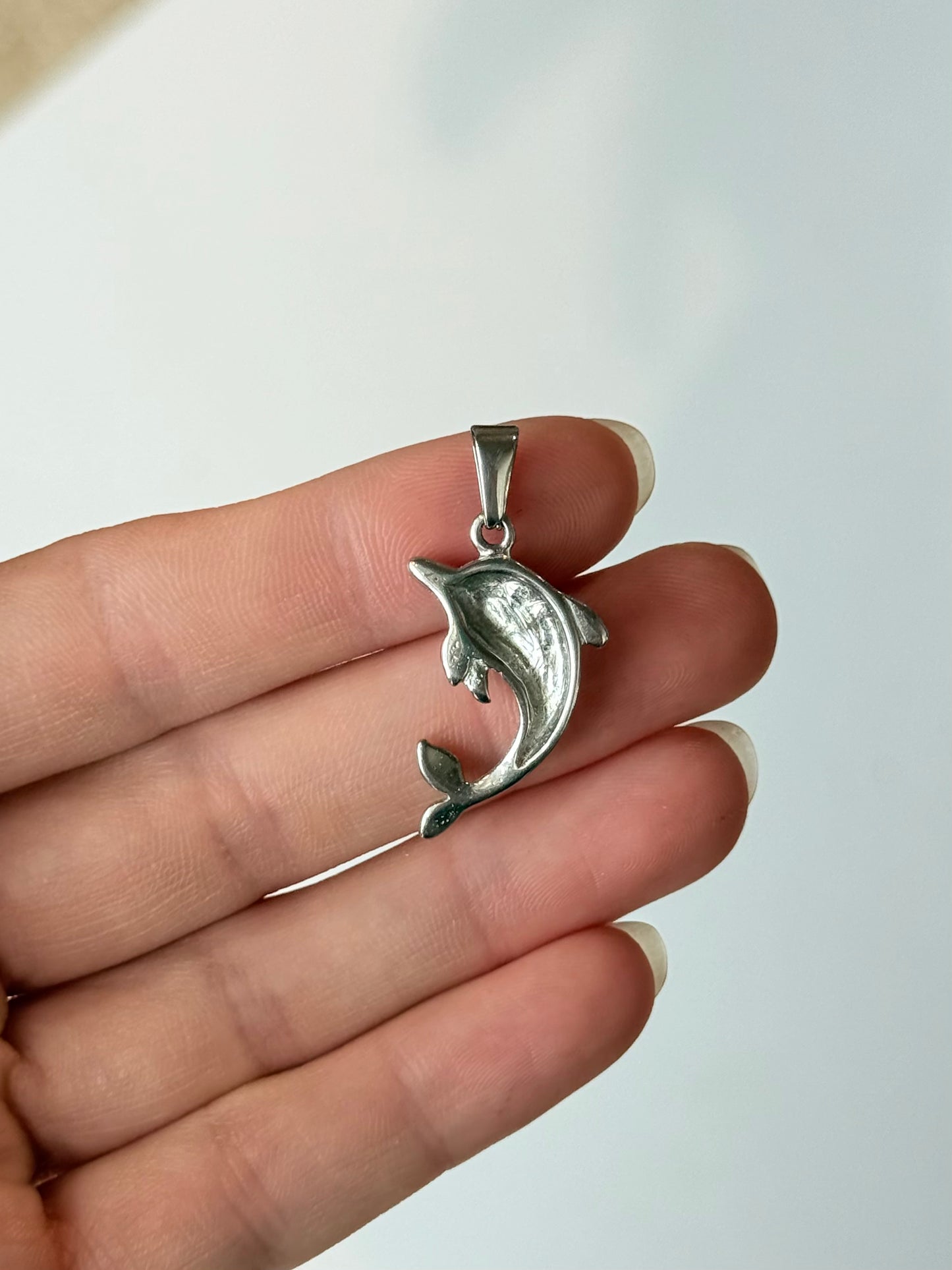 Dolphin - Stainless Steel