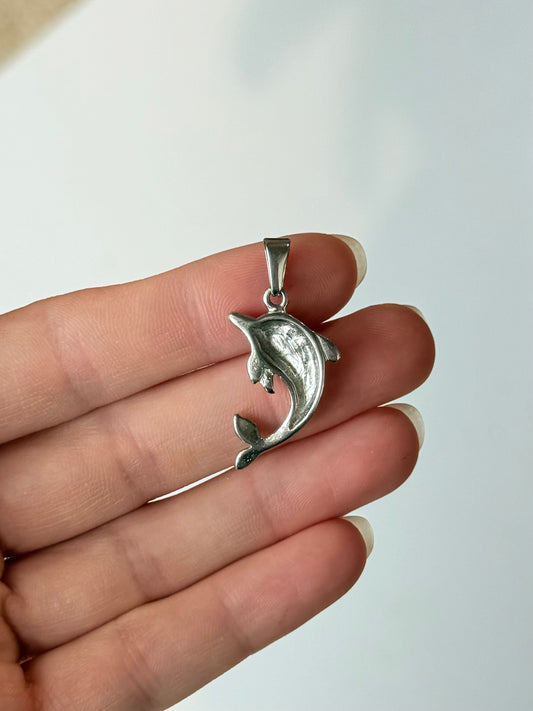 Dolphin - Stainless Steel