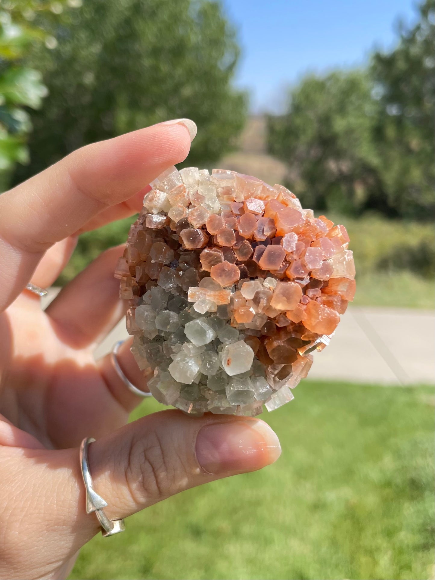 Green & Orange Aragonite ( h )