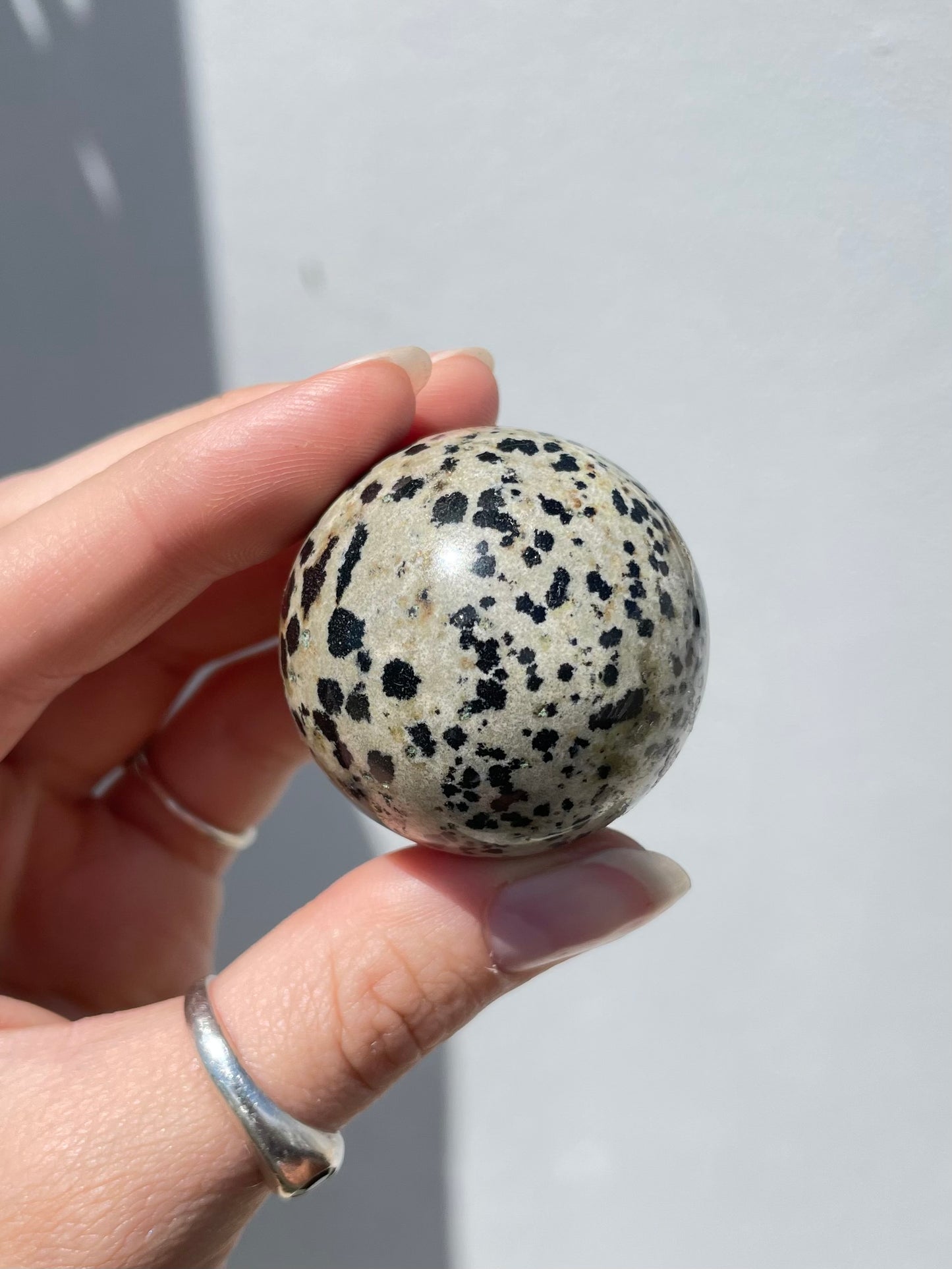 Dalmatian Jasper