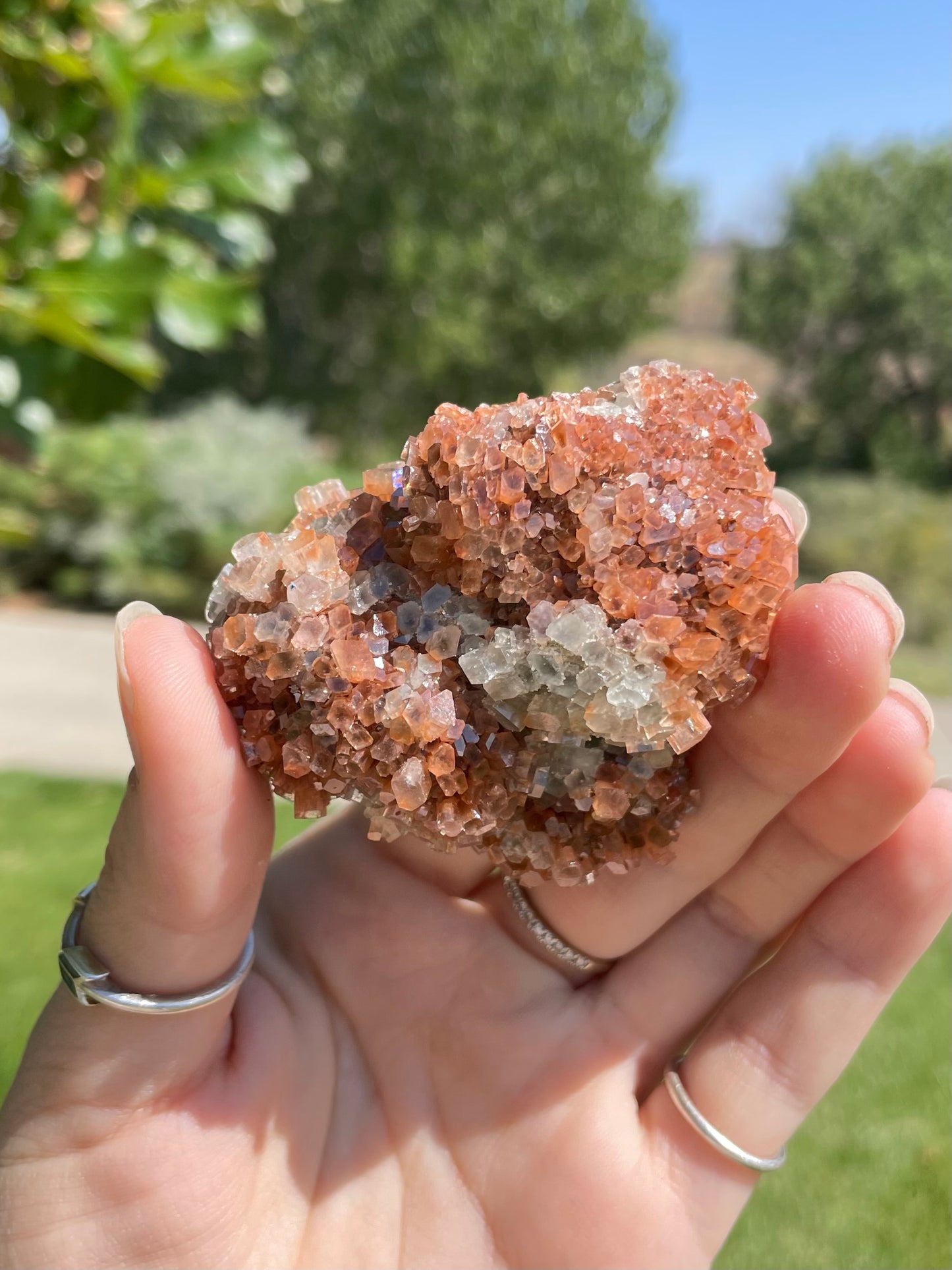 Green & Orange Aragonite ( P )