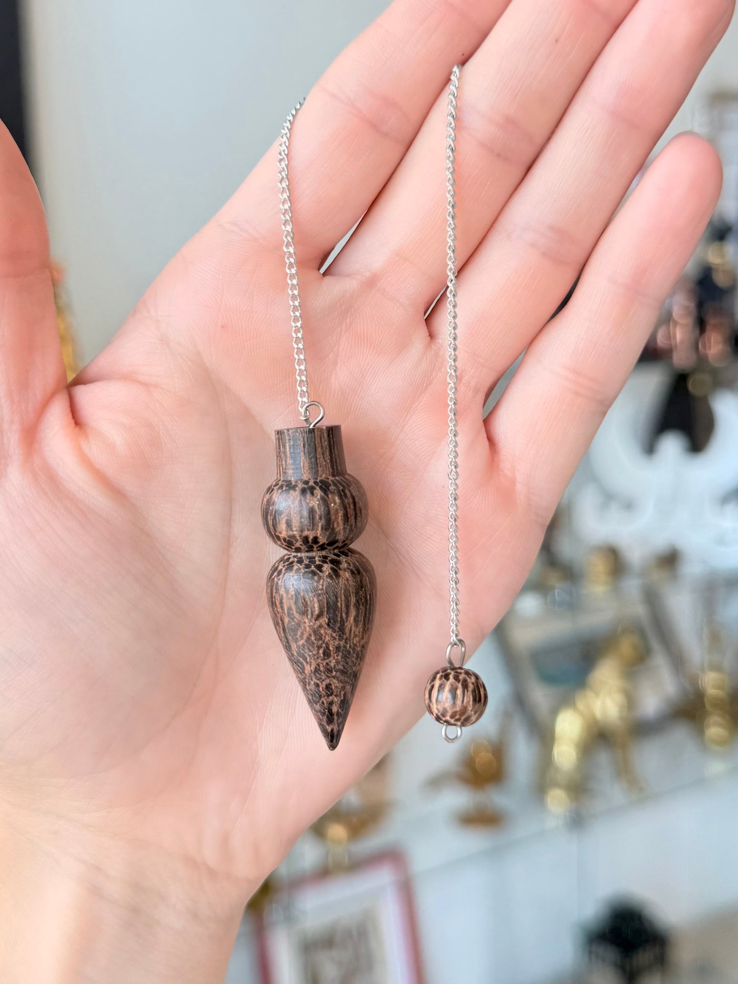 Coconut Shell Pendulum / Péndulo de Cáscara de Coco