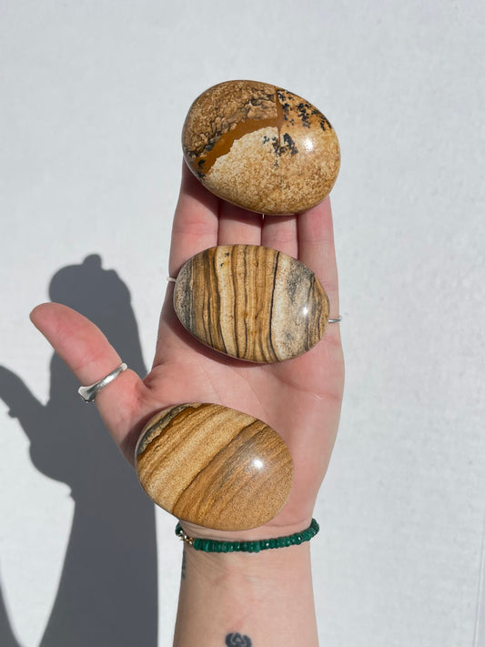 Picture Jasper Palm Stone