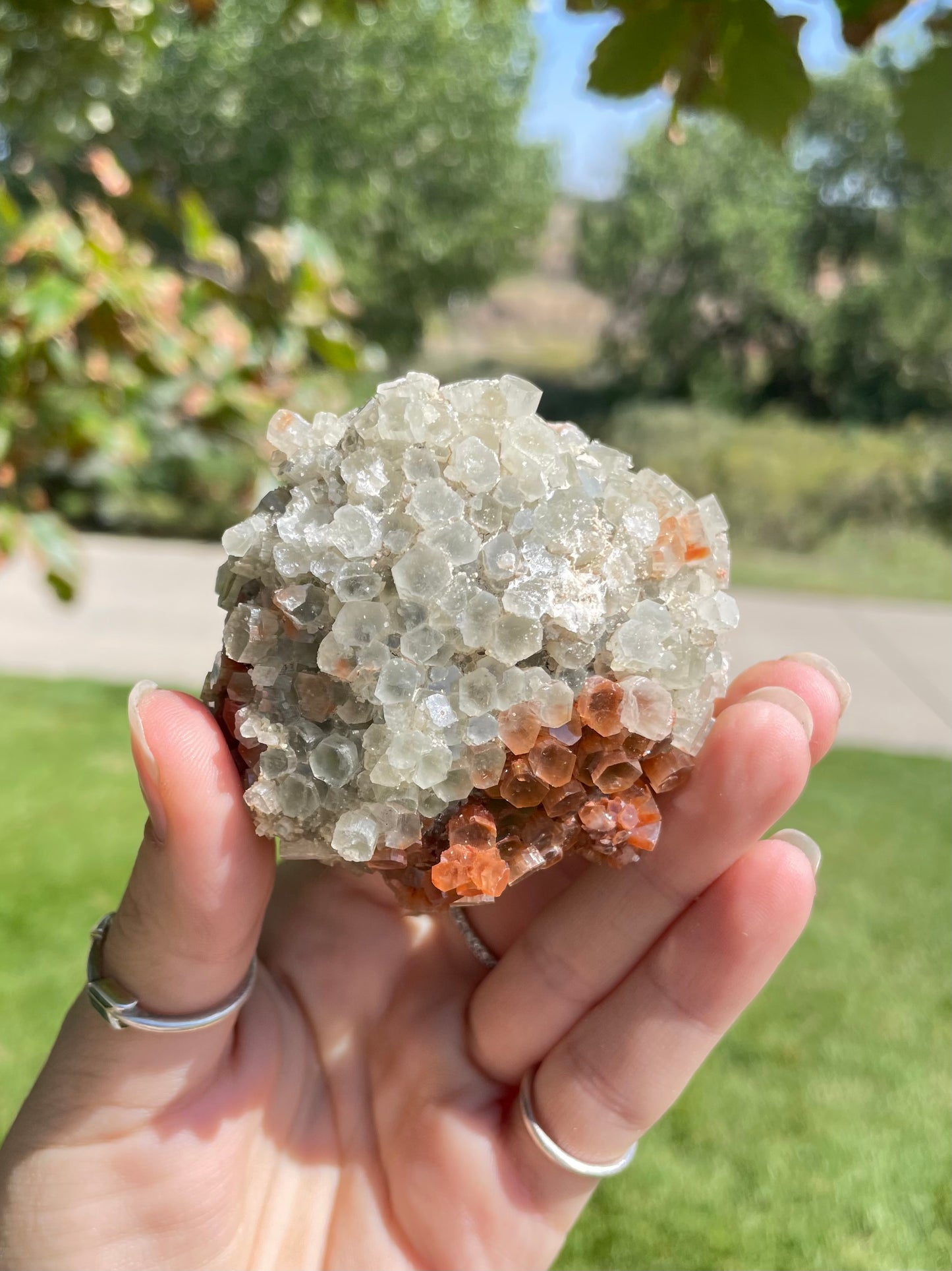 Green & Orange Aragonite ( c )