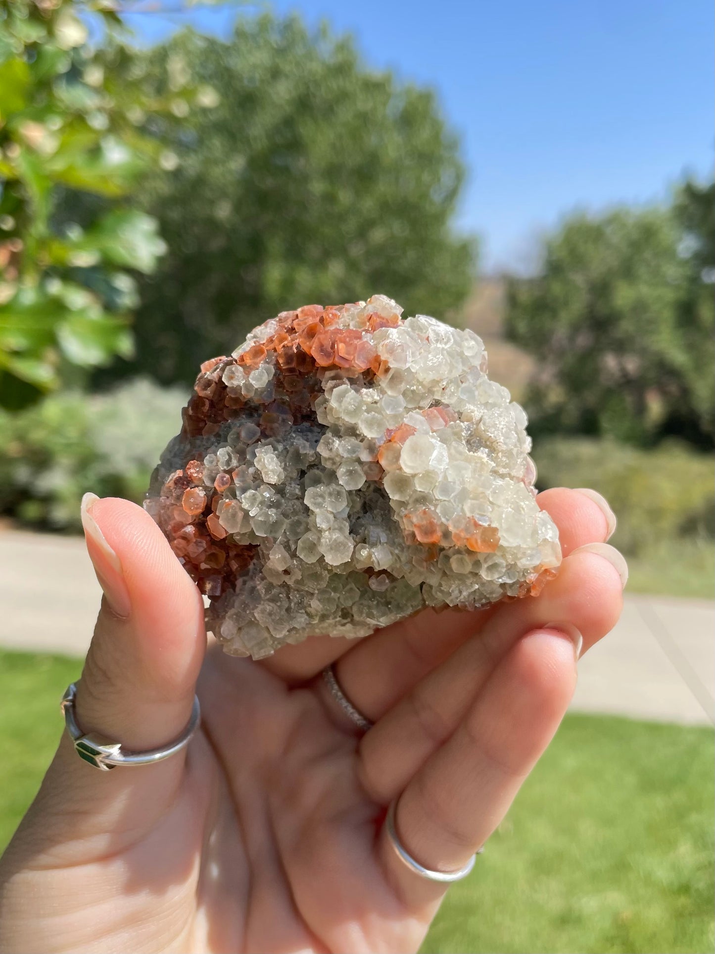 Green & Orange Aragonite ( O )