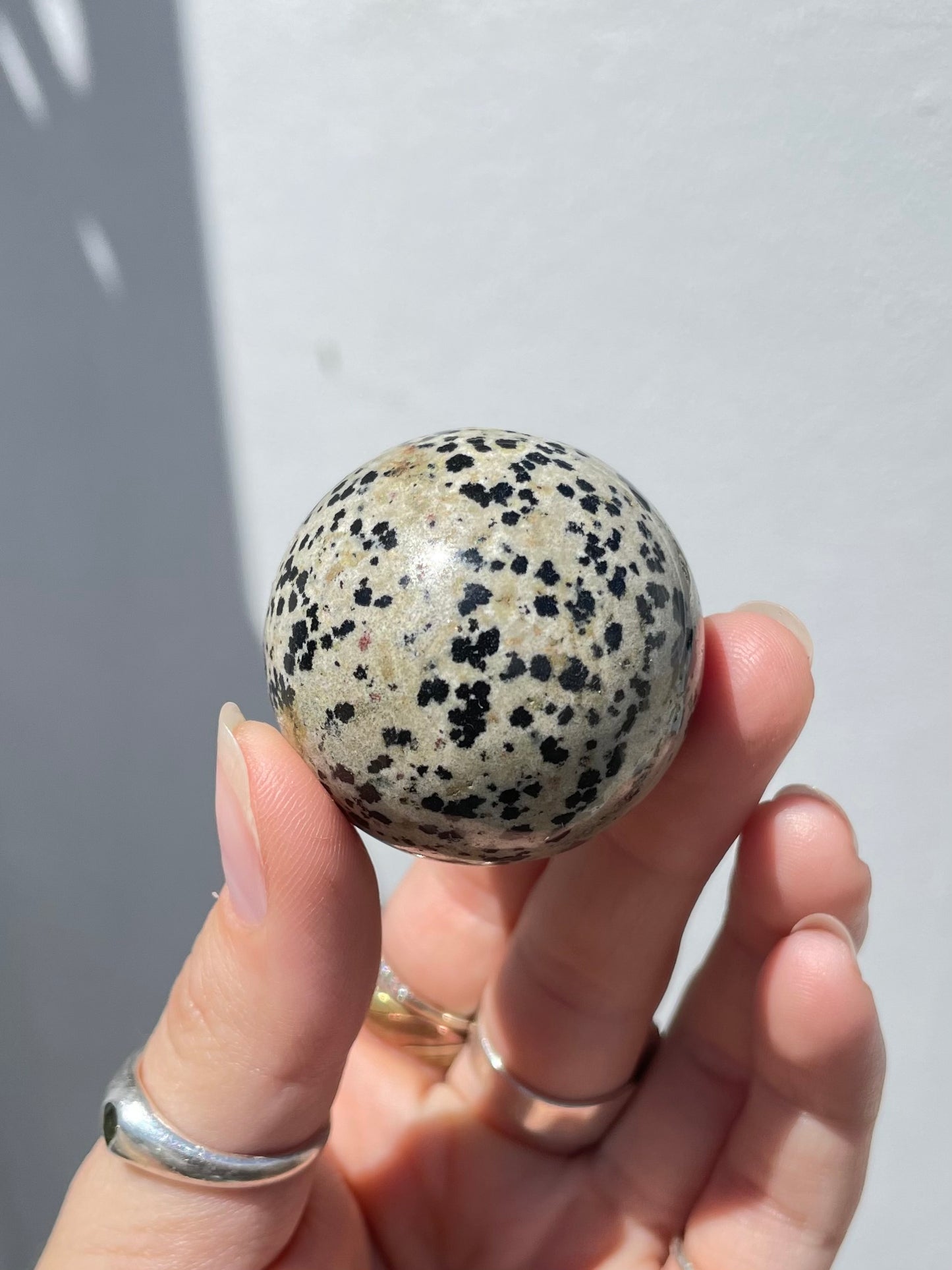 Dalmatian Jasper