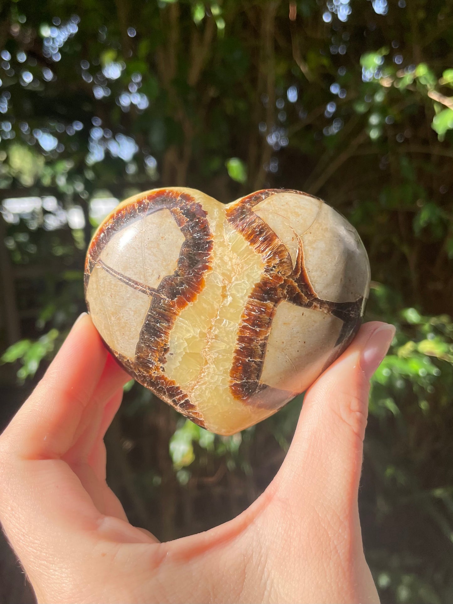 Septarian Heart (b)