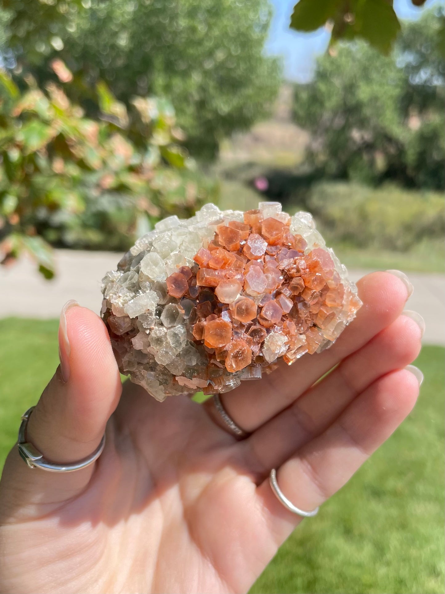 Green & Orange Aragonite ( c )