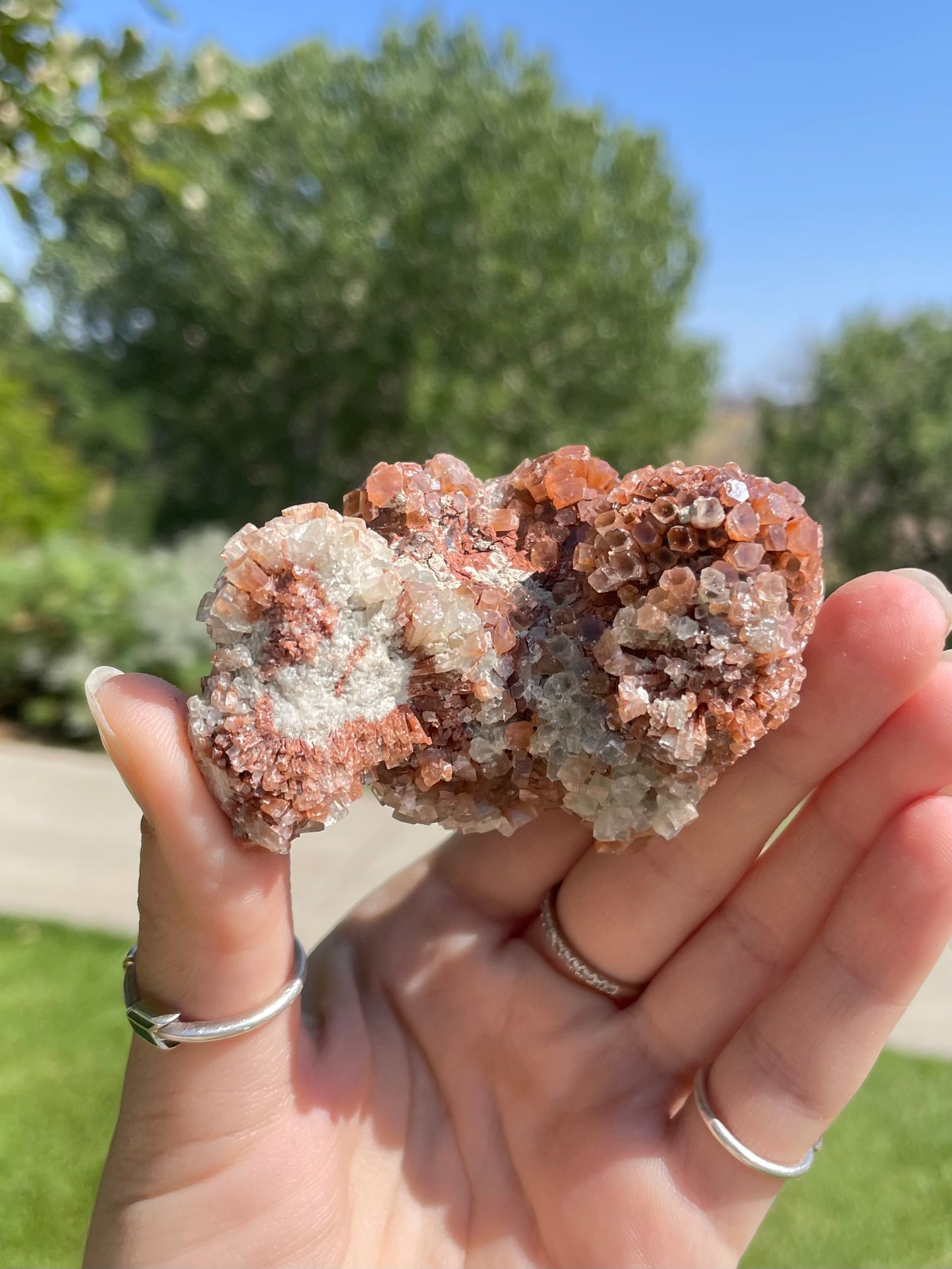 Green & Orange Aragonite ( M )