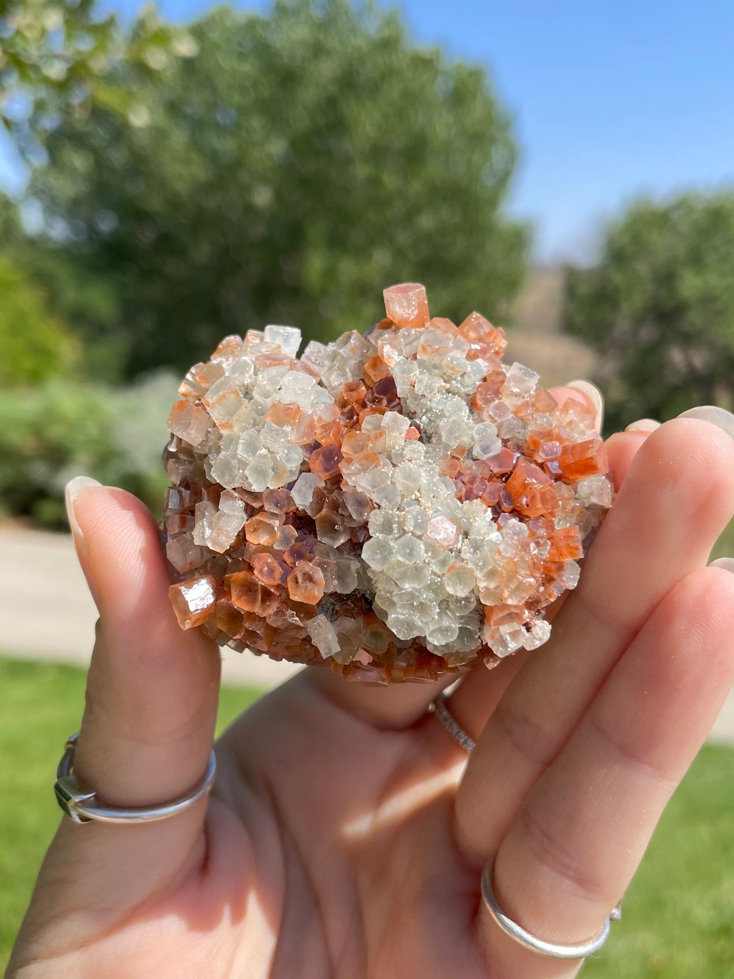 Green & Orange Aragonite ( g )