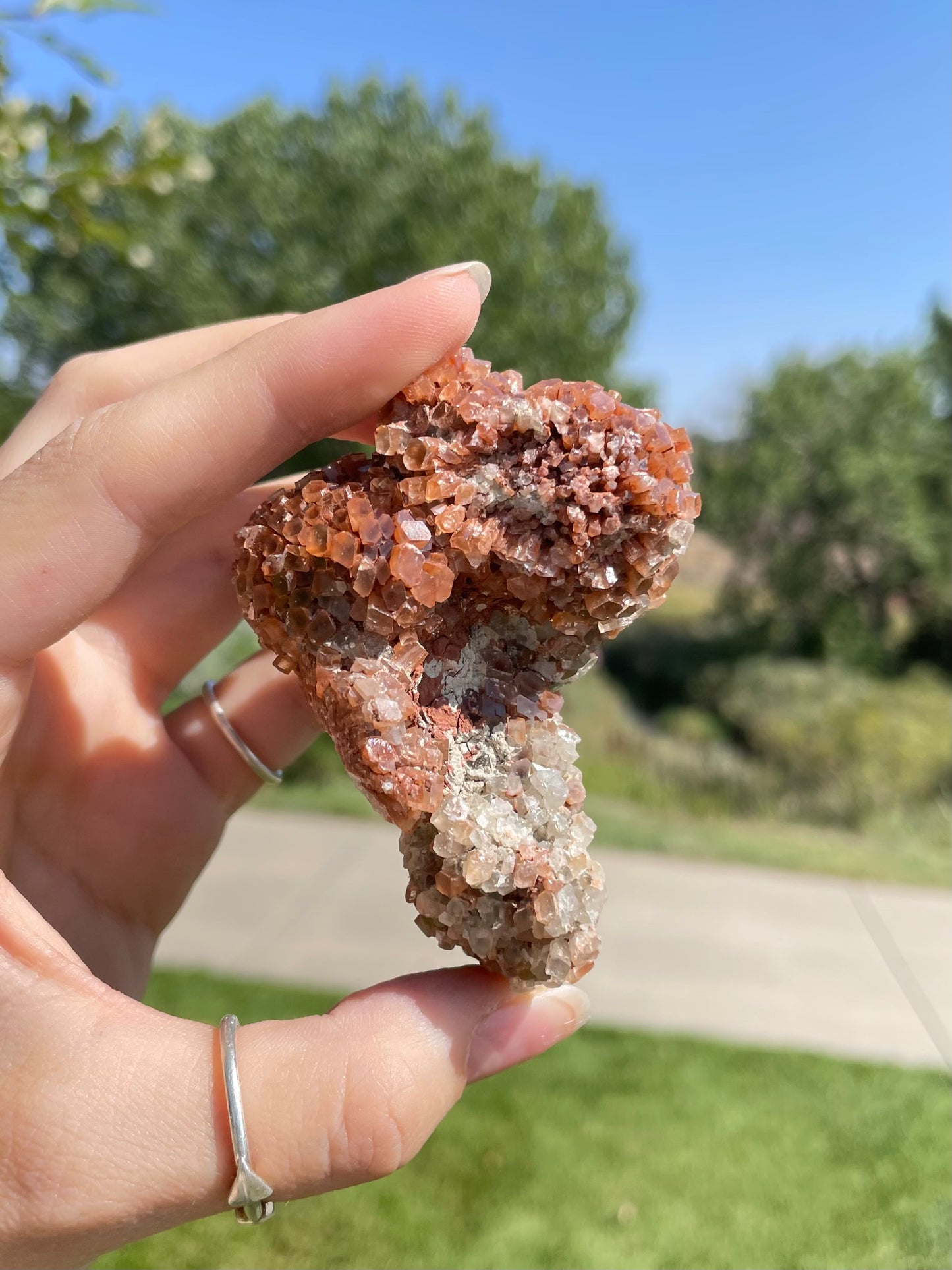 Green & Orange Aragonite ( M )